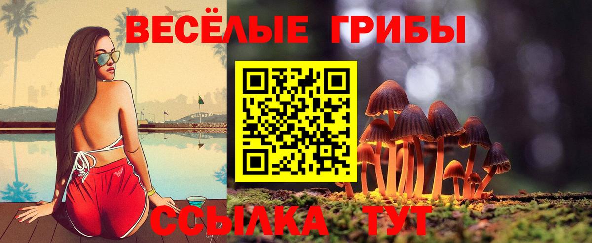 Галлюциногенные грибы ЛСД Гагарин