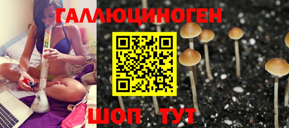Гагарин  Псилоцибиновые грибы Magic Shrooms  Вход с VPN 
